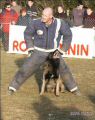 2003-ring-dijon-rosco.jpg